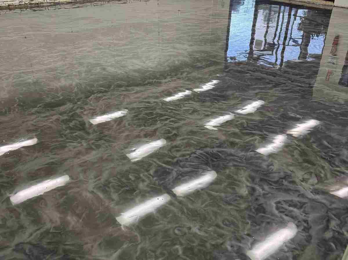 Milan Decorative Concrete & Epoxy Flooring LLC